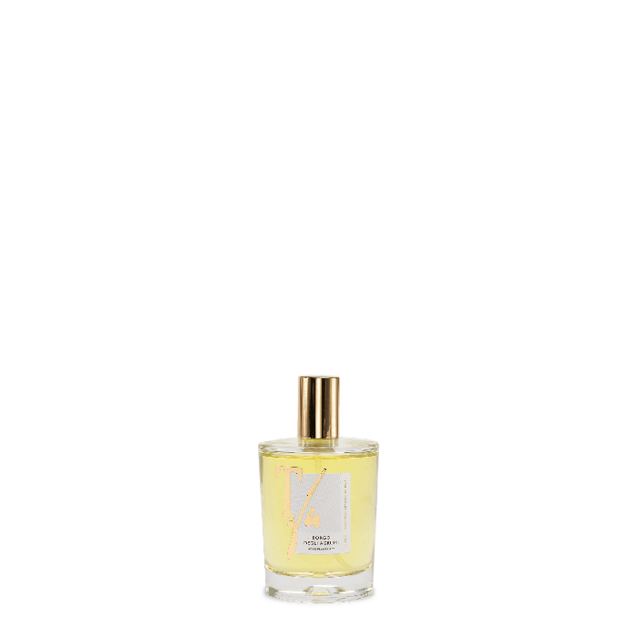 Borgo degli Agrumi ml 100 Spray 